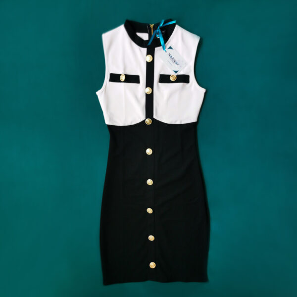 Charlestone Chich Midi Dress - Image 3